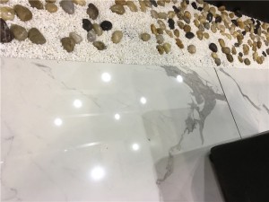 IMG_8270