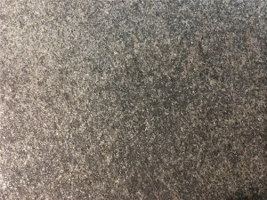 IMG_8331